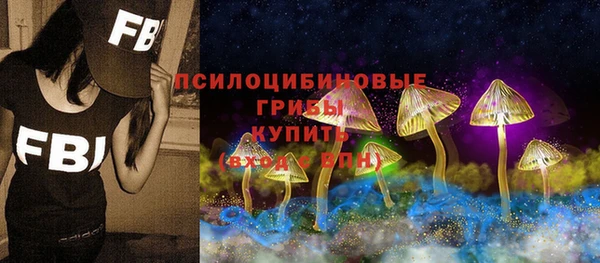ALPHA PVP Аркадак