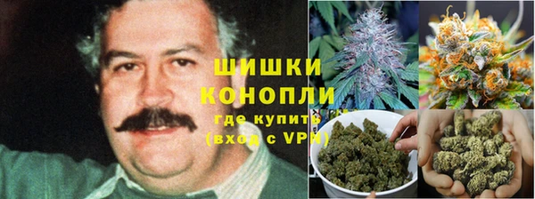 ALPHA PVP Аркадак