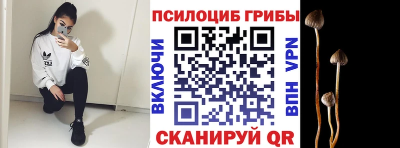 Купить Сковородино Псилоцибиновые грибы Psilocybe
